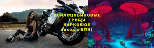 мяу мяу мука Арсеньев