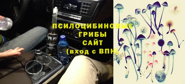 мяу мяу мука Арсеньев