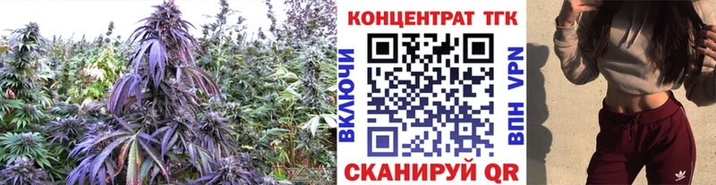 ТГК гашишное масло  Купить закладки  Великий Устюг 